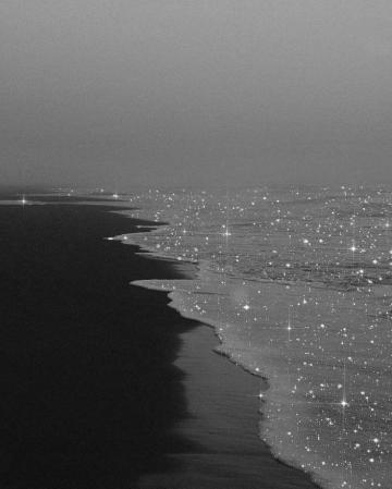 Rossy Black And White Photo Wall Glitter Wallpaper