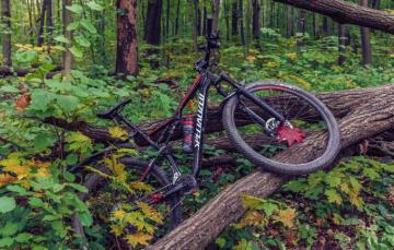 Wallpaper Autumn Forest Leaves Bike Sport