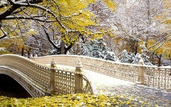 Fall Central Park New York Wallpaper HD