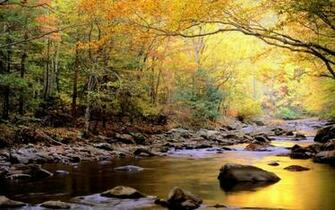 Smoky Mountains National Park Wallpaper Pictures