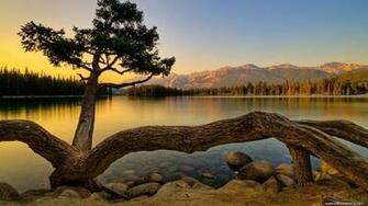 Natural HD Wallpaper