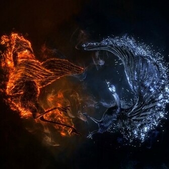 Fire And Water Bird