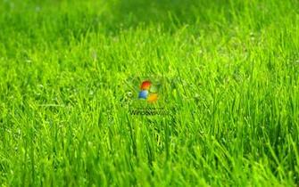 Green Grass Wallpaper Windows Vista Resolution High