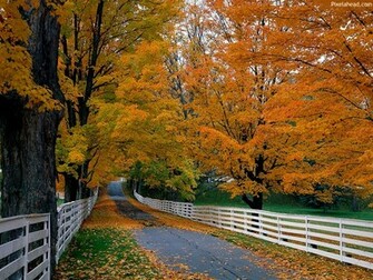 Autumn Wallpaper HD Beautiful