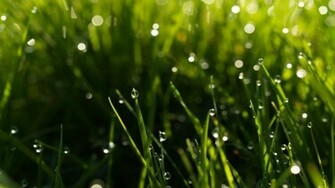 HD Wallpaper Inbox Rain Drops