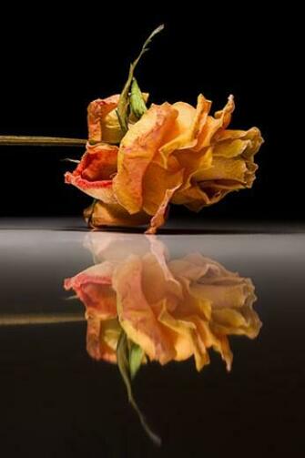 And The Mirror Reflection iPhone HD Wallpaper