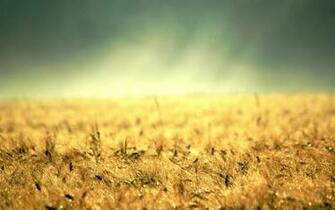 Morning Country HD Wallpaper