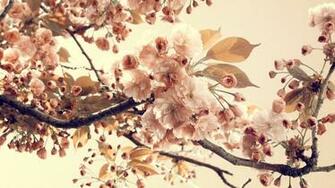Vintage Flowers Wallpaper
