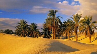 Desert Oasis Wallpaper