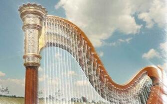 Harp Wallpaper 1920x1200jpg For Your