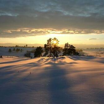 Of The Best iPad Winter Wallpaper