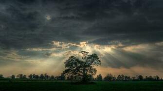 Hq Definition Image Collection HD Background Wallpaper By Lexie