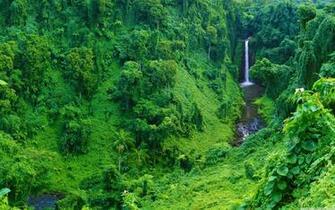 Jungle Waterfall 4k HD Desktop Wallpaper For Dual Monitor