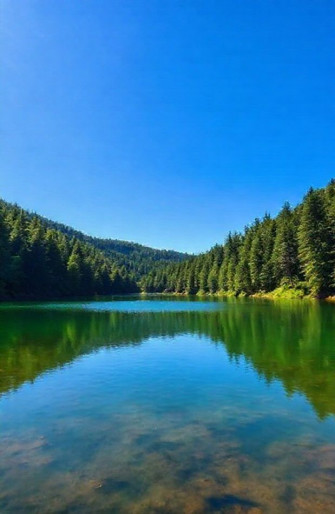 Screensavers Wallpaper Windows