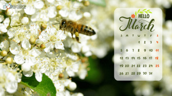 Cute March Calendar Floral Wallpaper HD