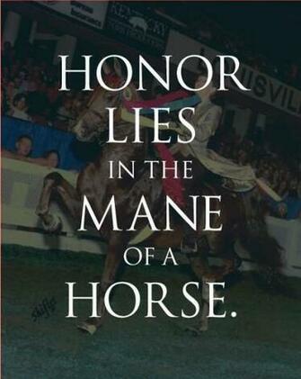 American Saddlebred Horse Quotes