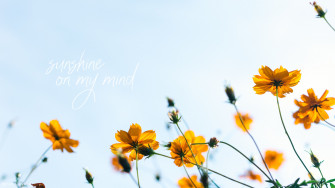 Aesthetic Spring Desktop Widescreen Wallpaper