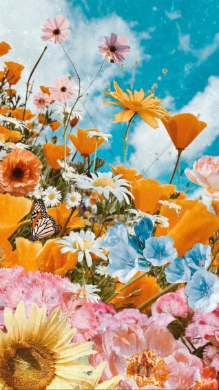 On Cute Wallpaper Background Beautiful