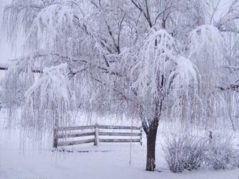 Winter Fairy Wallpaper Desktop Cool HD Hivewallpaper