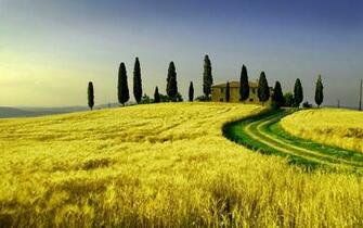 Tuscany Prairie Landscape Theme Wallpaper
