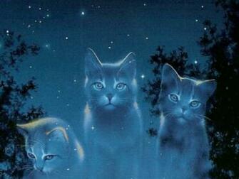 Warriors Cats Background