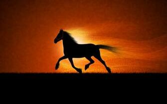 Running Horse Wallpaper HD