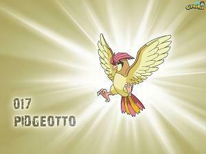 Pidgeotto Wallpaper Normal Type Pok Mon To