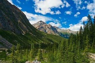 Wallpaper Jasper National Park Canada Mountains Trees