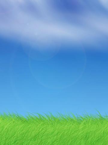 Cartoon Grass Wallpaper