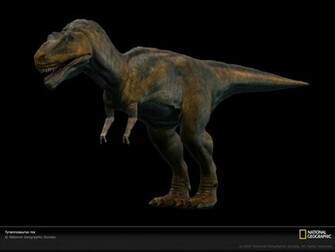 Tyrannosaurus Rex T Wallpaper Photos National
