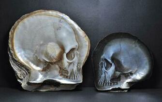Wallpaper Dna Carving Realistic Skulls Into Mother Of Pearl Shells By