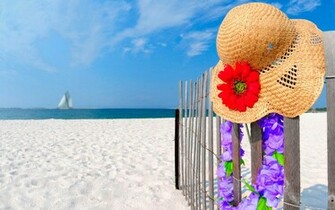 Summer Scenes Wallpaper Which Is Under The