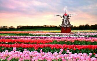 Spring Image Wallpaper High Definition Quality Widescreen