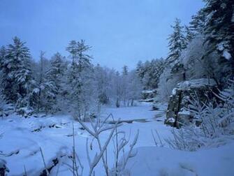 Wallpaper Winter