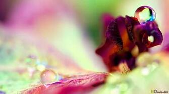 Spring Colorful HD Design For Background Wallpaper