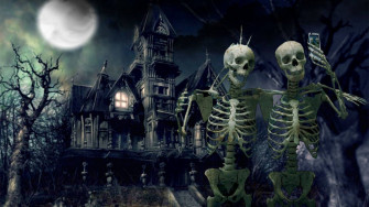 Skeleton Meme Wallpaper