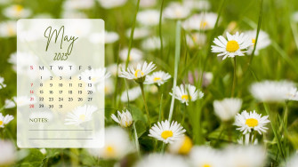 And Customizable Spring Desktop Wallpaper Templates