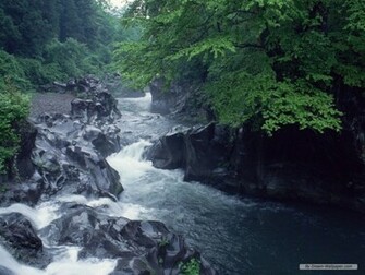 Wallpaper Nature Season Summer
