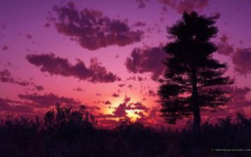 Widescreen Purple Sunset Wallpaper Desktop Nature