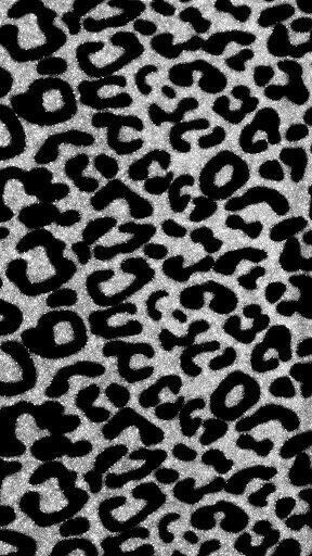 Black Cheetah Background Gray Leopard iPhone Wallpaper
