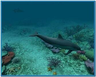 Dolphins 3d Screensaver And Animated Wallpaper Serial