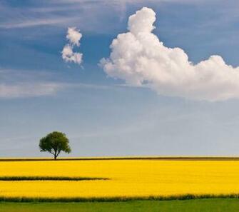 QHD Wallpaper For Android