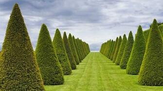 Versailles France Wallpaper