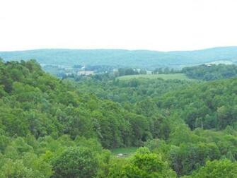West Virginia Bergen Wallpaper