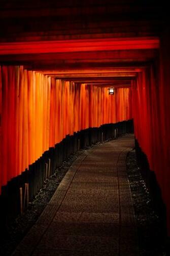 Corridor Japan Fushimi Inari Taisha And Kyoto HD Photo By Tim
