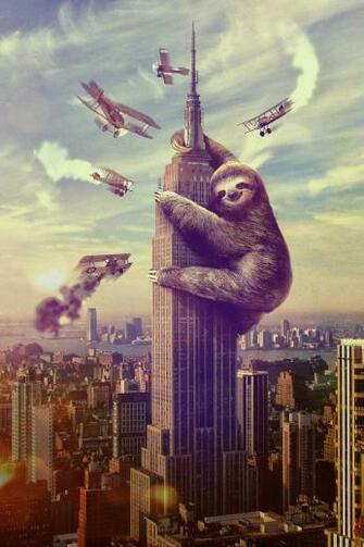 Sloth King Kong Empire State Building Slothzilla Movies