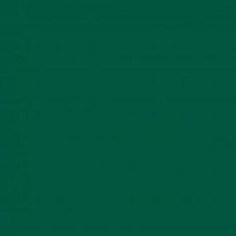 Sacramento State Green Solid Color Background