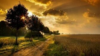 Wallpaper HD Nature On