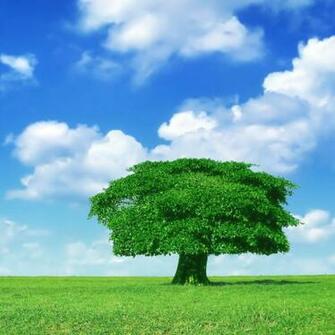 Abstract Nature Wallpaper iPad