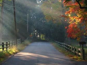 Morning Shining Wallpaper And Inventory Photos 4d